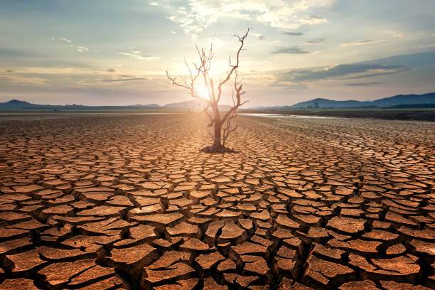 El Impacto del Cambio Climático en la Economía Española: Desafíos y Oportunidades